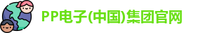 pp电子